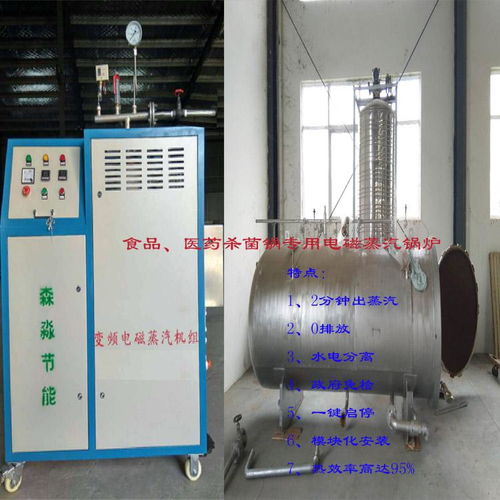 高效環保的食品蒸煮殺菌電熱蒸汽發生器 智能電磁蒸汽鍋爐引領行業革新